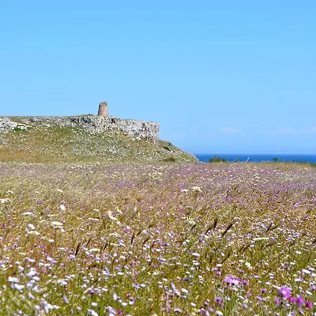 게스트하우스 La Ozza 3*